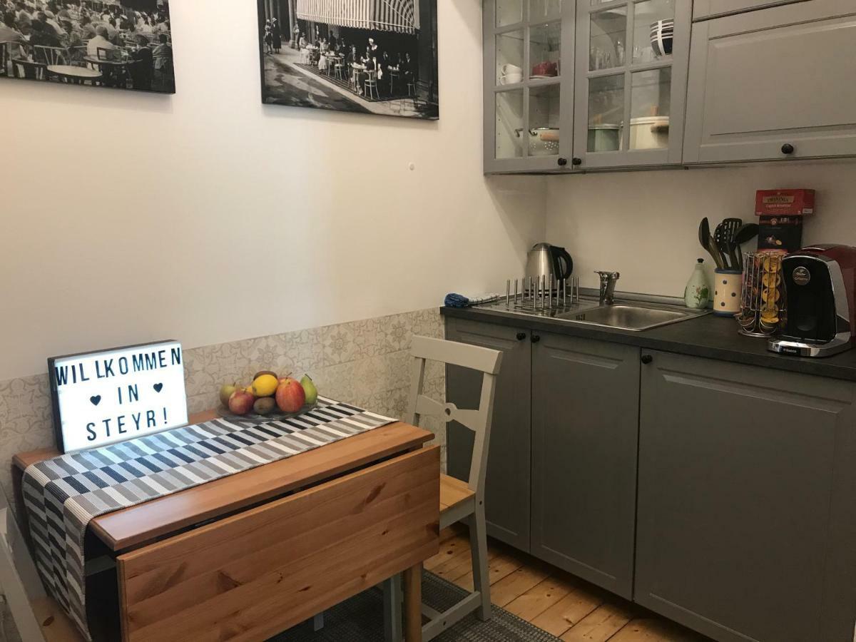 Lovely Flat In A Lovely City Steyr Dış mekan fotoğraf